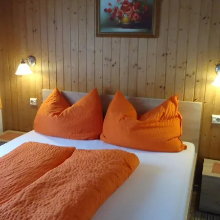 Gaestehaus Birkenheim 3* 齐勒河谷采尔