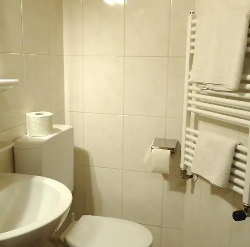 ベッド・アンド・ブレックファスト Gaestehaus Birkenheim